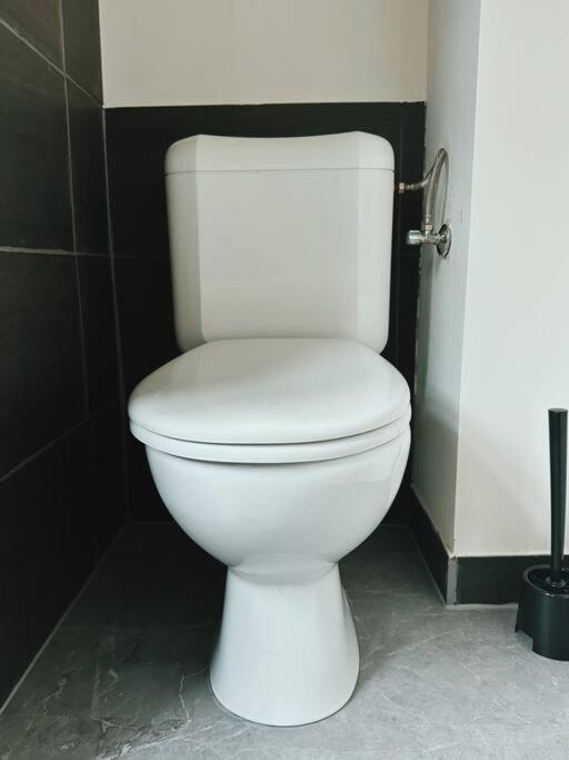 Historic Serenity Apartment Gent المظهر الخارجي الصورة